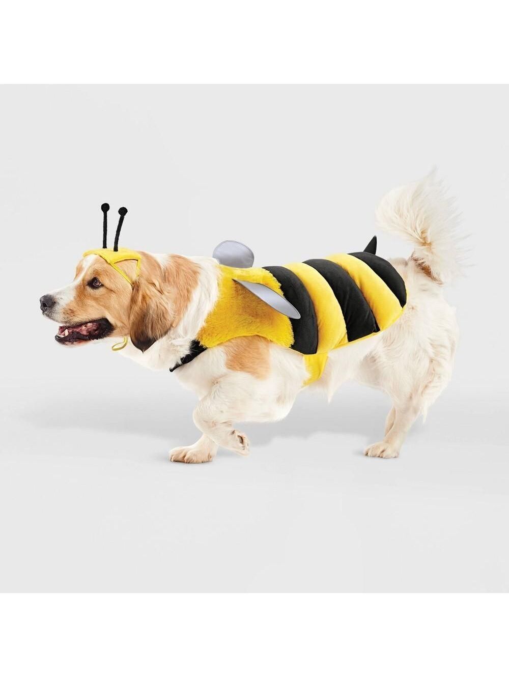 Bee with Reflective Wings Full Body Halloween Dog Costume - M - Boots & Barkley™